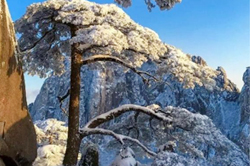 11月30日至12月1日，黄山风景区将有一次有效降雪过程。