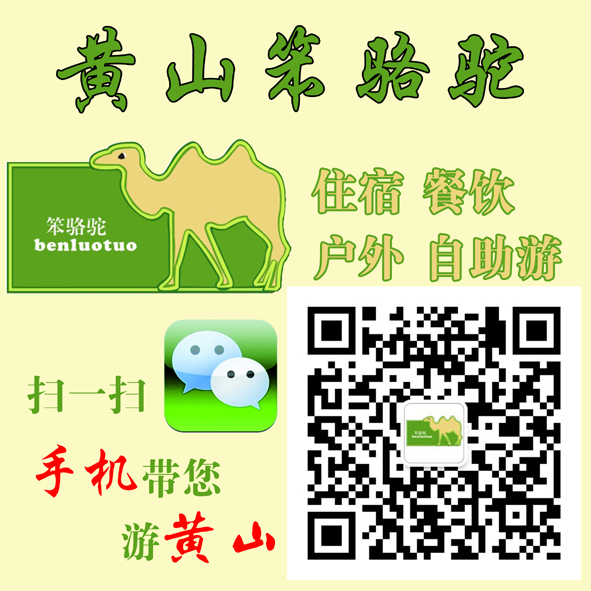 二维贴.jpg